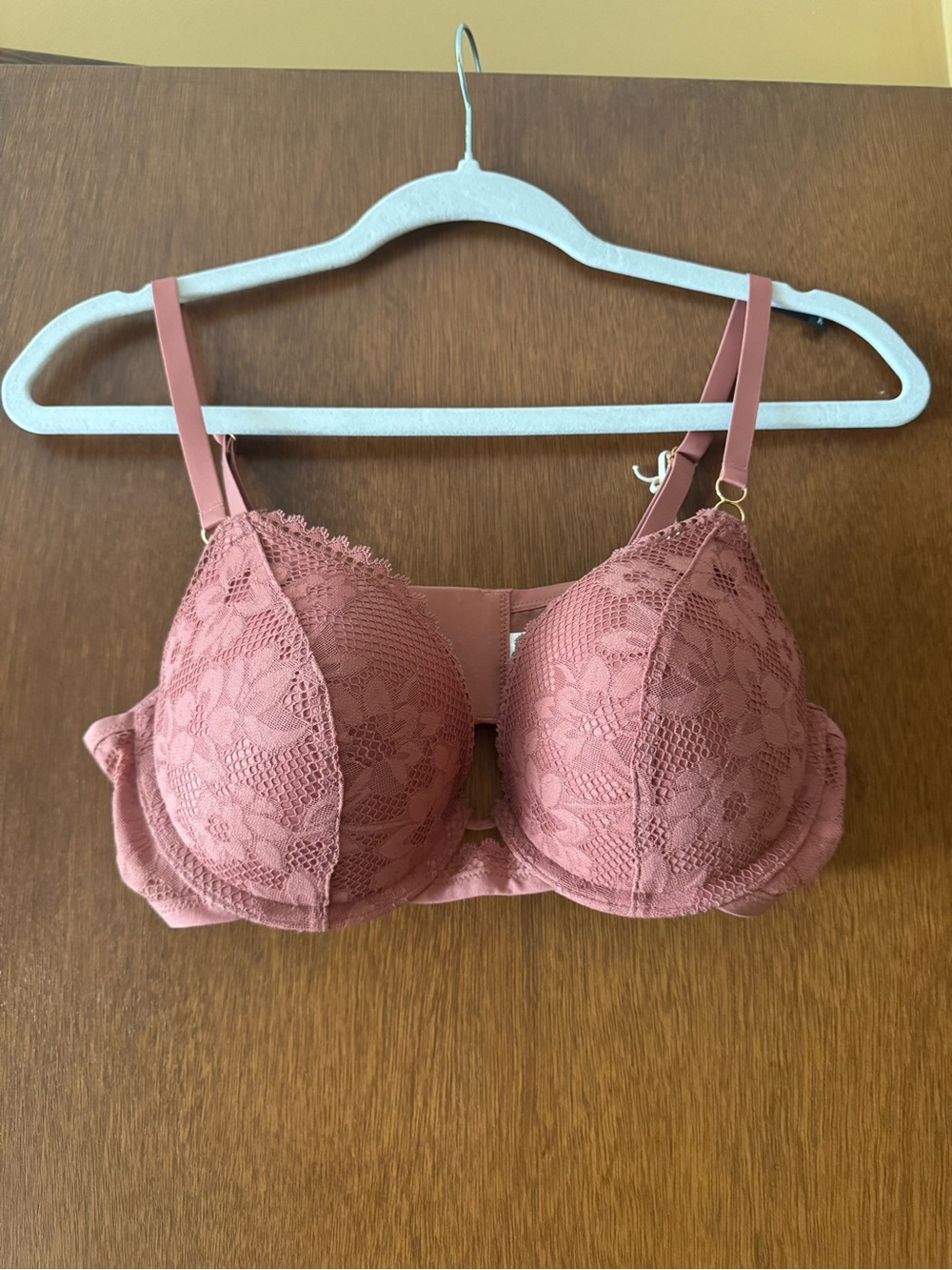 aerie Rose Lace Plunge Push-Up Bra